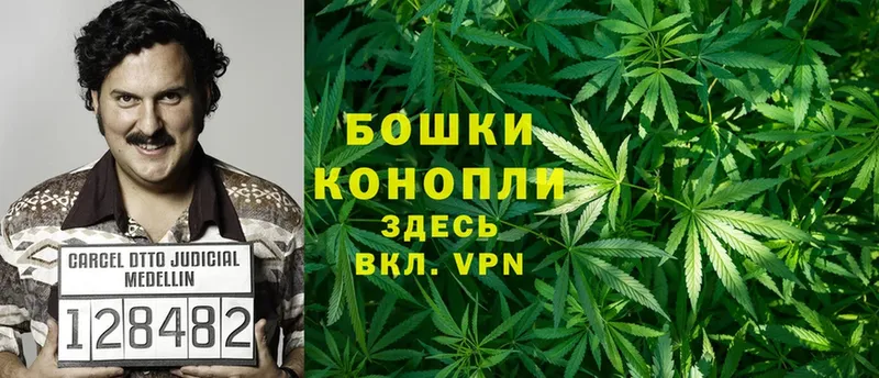 купить наркотики цена  Ялуторовск  hydra маркетплейс  МАРИХУАНА SATIVA & INDICA 